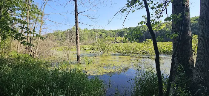 Holly McGinnis Lake Campground Picture 6