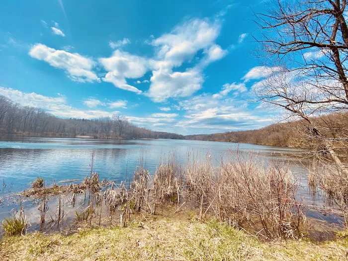 Holly Recreation Area Organizational Campground Picture 2