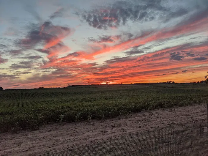 Rockey's Campground Picture 8