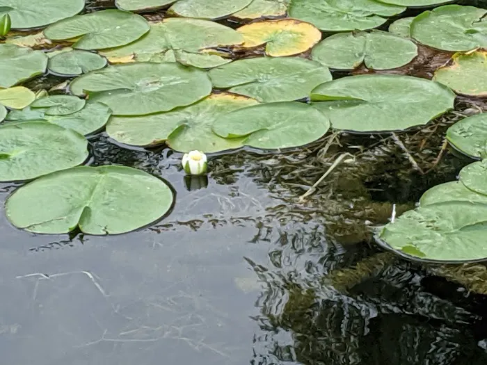 Rockey's Campground Picture 7