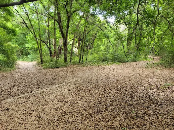 Camp Elvin Picture 5