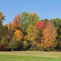 TTCM Bellevue Campground ico