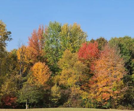 TTCM Bellevue Campground