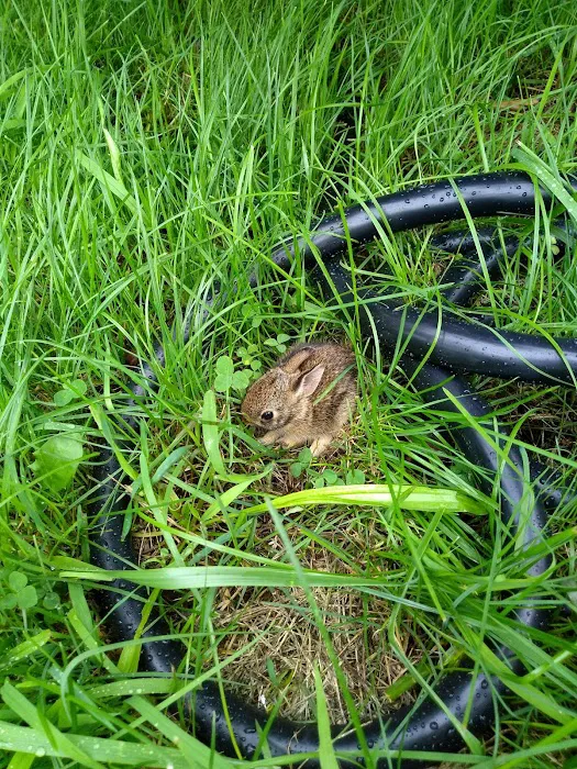 TTCM Bellevue Campground Picture 7