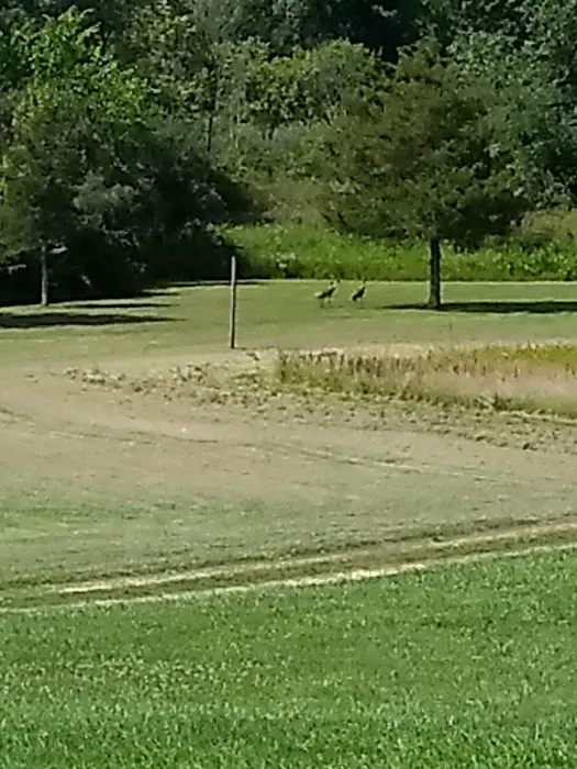 TTCM Bellevue Campground Picture 8