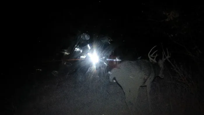 TTCM Bellevue Campground Picture 9