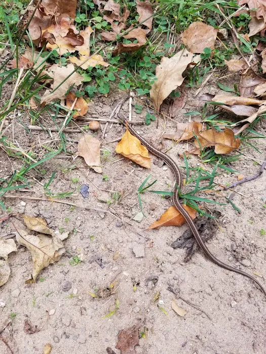 Sherwood Forest Campground Picture 8