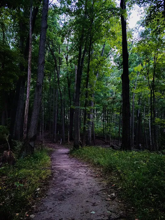 Bixler Lake Campground Picture 6