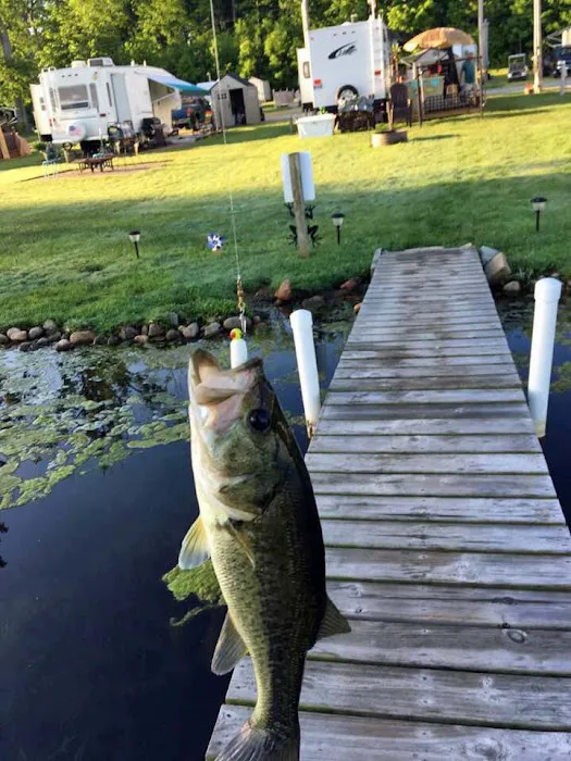 Davis Lakeside Campground Picture 5