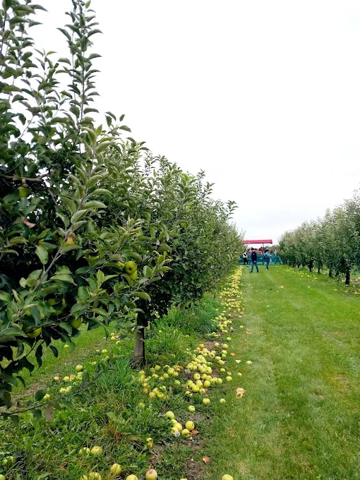 Apple Orchard Primitive Campground Picture 4