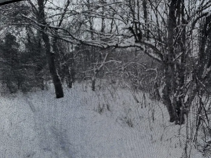 Apple Orchard Primitive Campground Picture 8