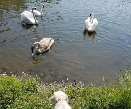 Sports Lake Campground