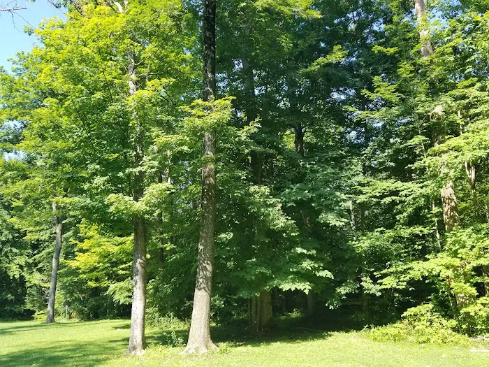 All My Family & Friends Campground Picture 6