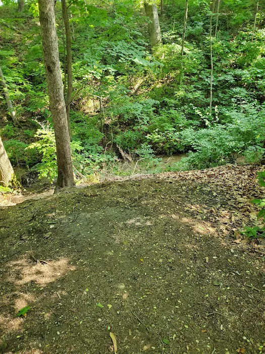 Campground Picture 4
