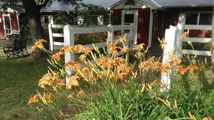 Hannon's Camp America Picture 1