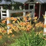 Hannon's Camp America