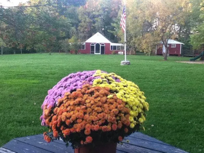 Hannon's Camp America Picture 3