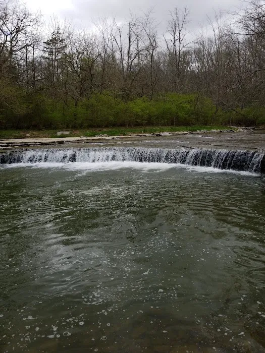 Hueston Woods Campground Picture 1