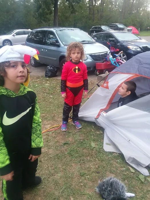 Hueston Woods Campground Picture 5