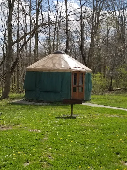 Hueston Woods State Park Campground Picture 1