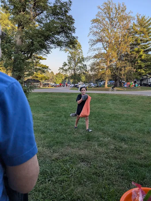 Hueston Woods State Park Campground Picture 4