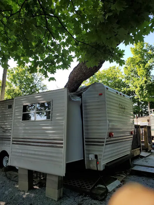Fox Run Campground Picture 7