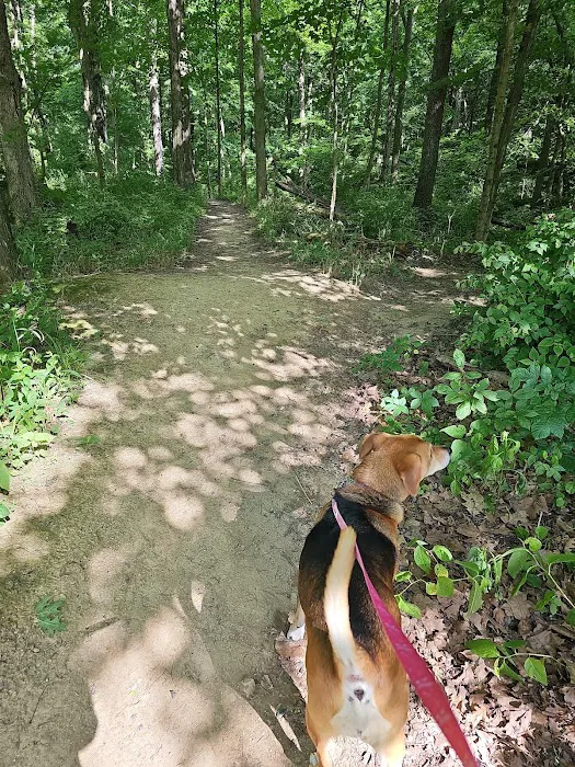 Quakertown Campground Picture 6