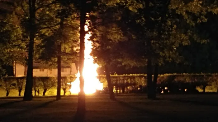 Adams Aquatics Picture 2