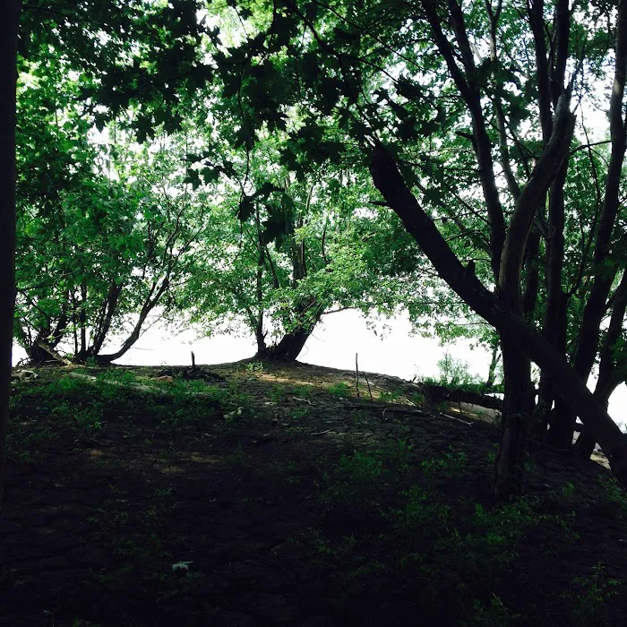Damvue River Camp Picture 8