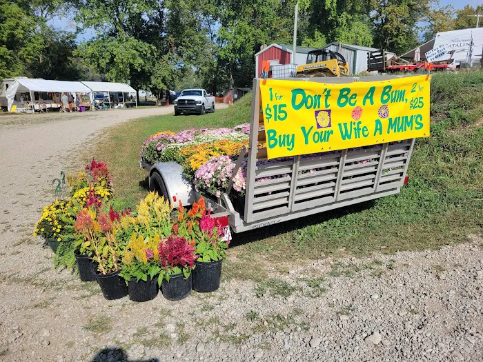 Hudsons Old Mill Campground and Flea Market Picture 6