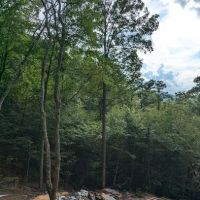 Poplar Ridge ico