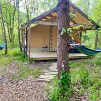 Cabin and Canvas ico