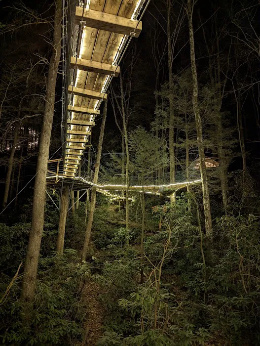 Turtle Dome Treehouse Picture 5