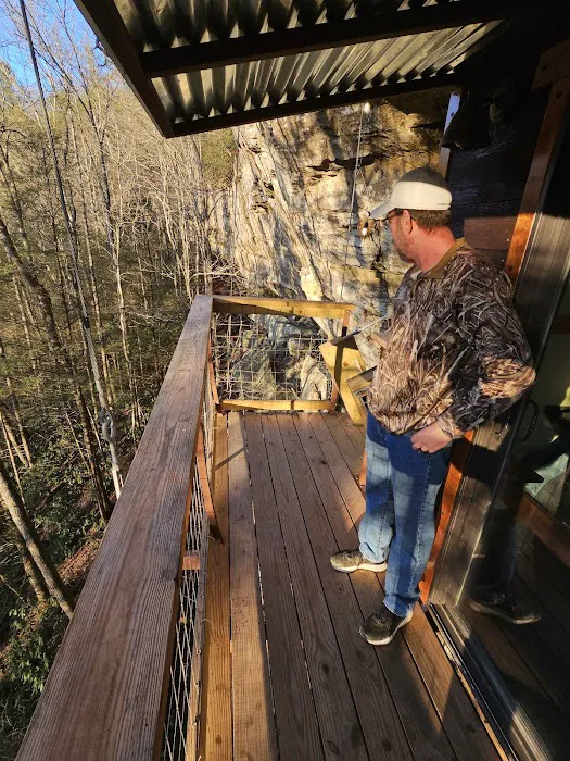 Turtle Dome Treehouse Picture 6