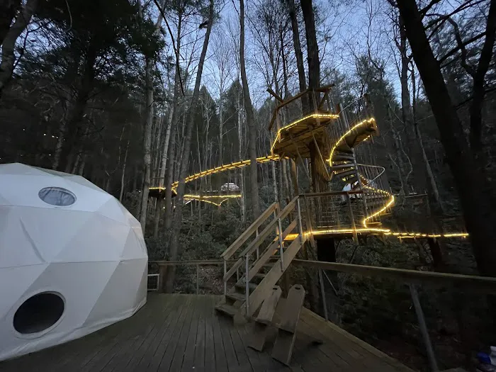 Turtle Dome Treehouse Picture 8