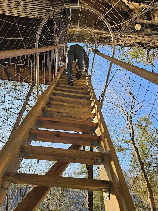 Turtle Dome Treehouse Picture 7
