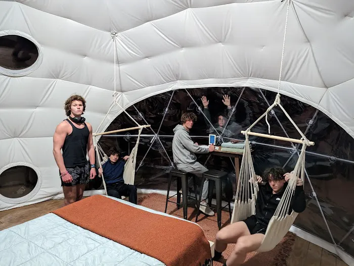 Turtle Dome Treehouse Picture 2