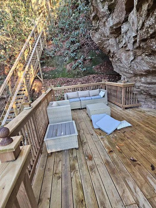 Turtle Dome Treehouse Picture 3