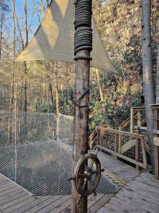 Turtle Dome Treehouse Picture 4