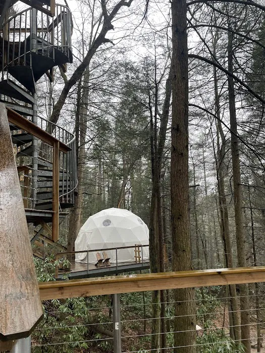 Turtle Dome Treehouse Picture 9