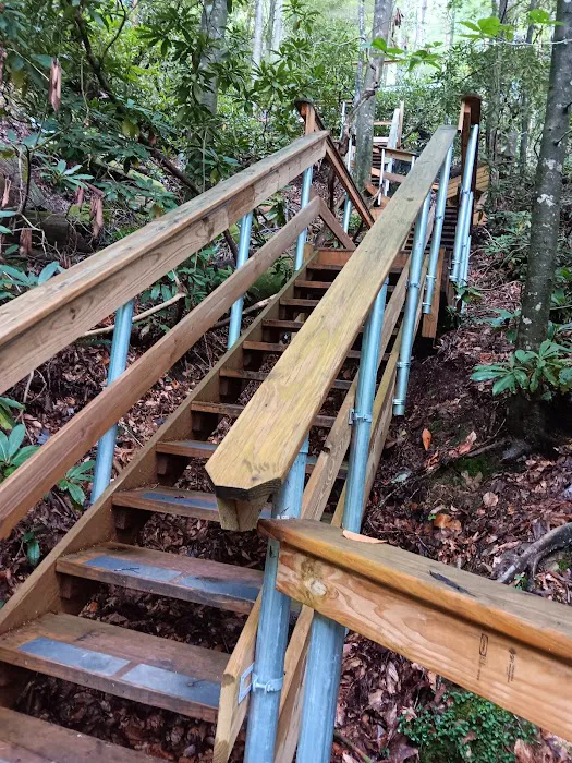 Turtle Dome Treehouse Picture 10