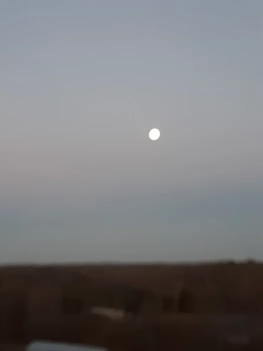 Golden Arrow Reservation Picture 4