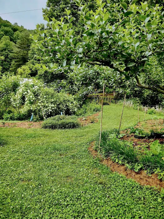 Blackberry Blossom Farm, Tent Campground, Suites Picture 4
