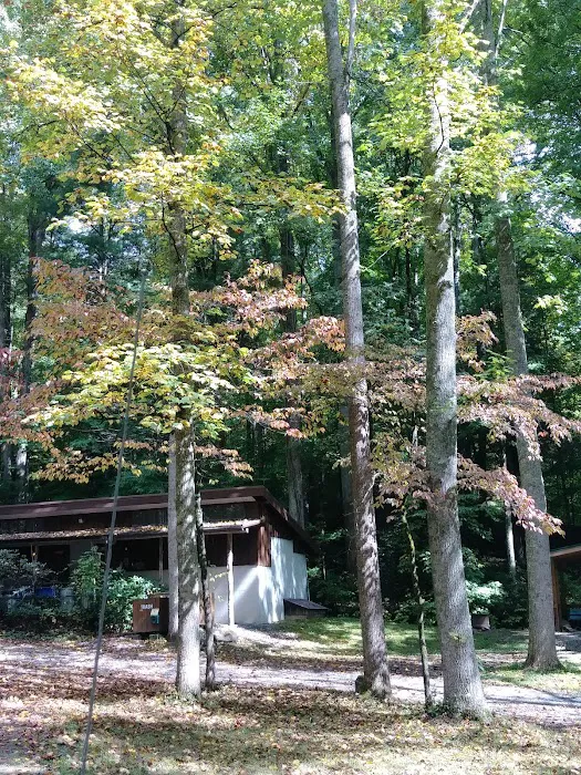 Woodsmoke Campground Picture 3