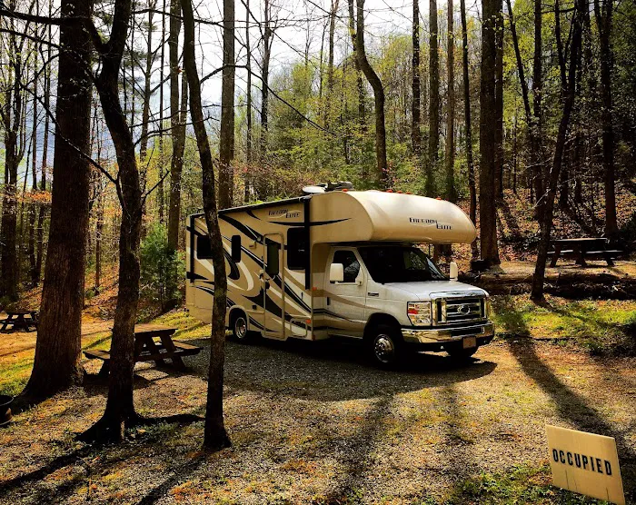 Woodsmoke Campground Picture 9