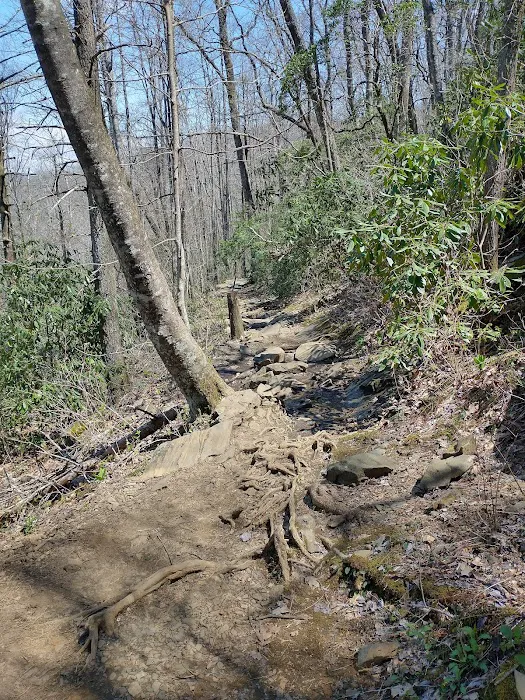 Crabtree Falls Campground Picture 10