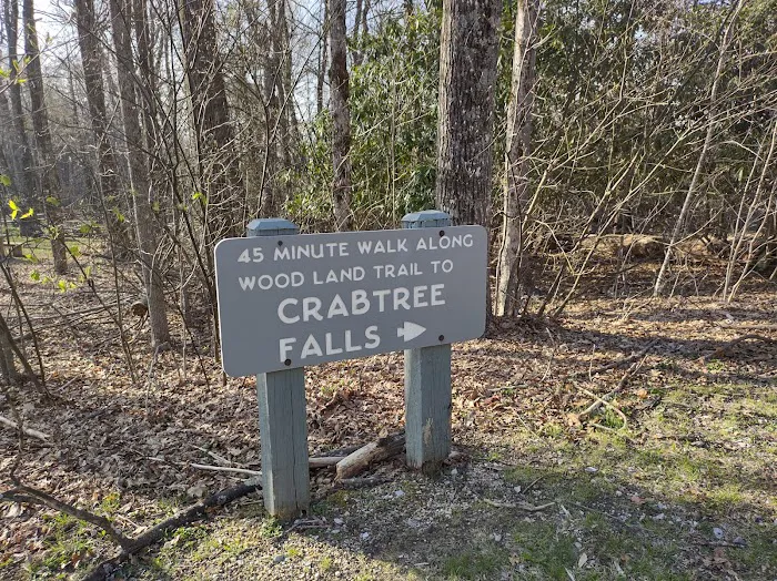 Crabtree Falls Campground Picture 3