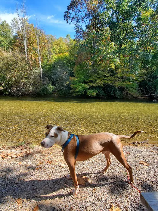 Yancey County Toe River Campground Picture 10