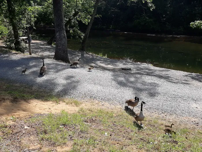 Yancey County Toe River Campground Picture 9