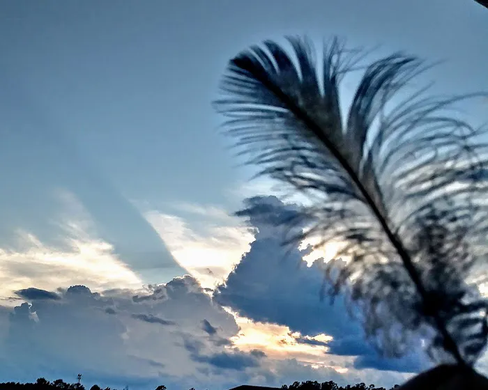 The Campground Rez Picture 4